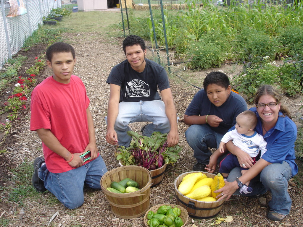 Train organic farmers in low-income communities