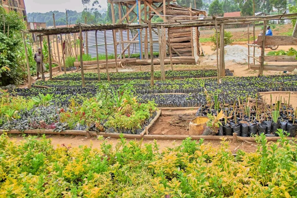 Empower 150 Women in DRC with Eco-Farming