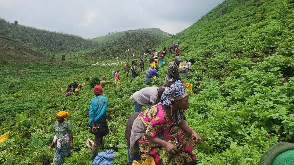 Empower 150 Women in DRC with Eco-Farming