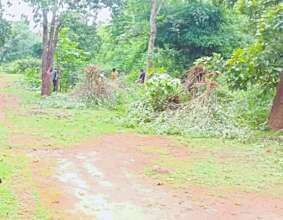 Team of Workers clearing Lantana at Sarmania Site