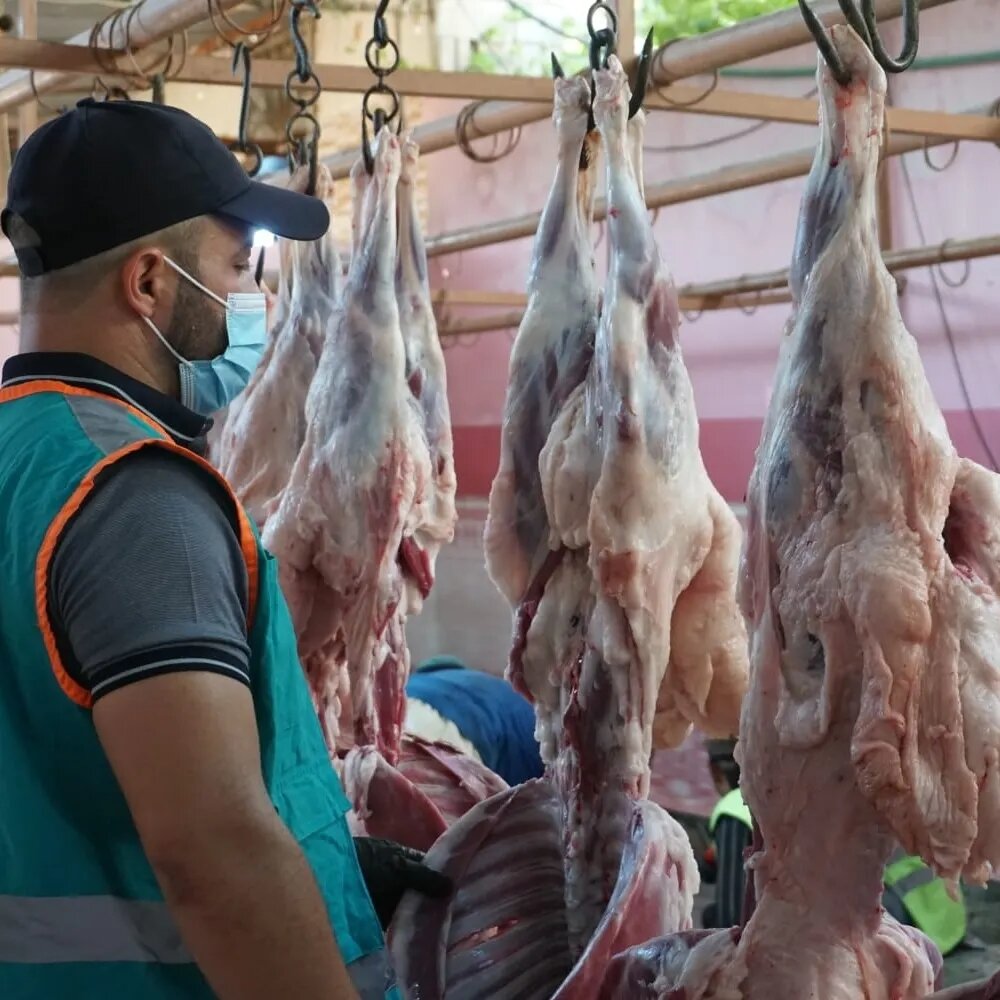 Qurbani of Mercy: Nourishing Lives in Syria