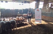 Qurbani Meat Distribution for Gaza