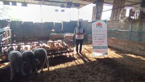 Qurbani Meat Distribution for Gaza