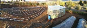 GDF's new garden at Dar Taliba ready for planting