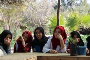 Students during a discussion on medicinal plants