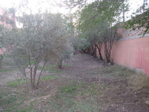 The school campus after the big clean-up