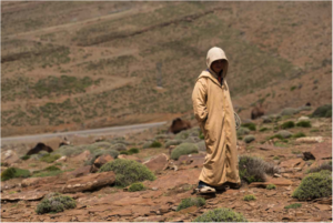 Out on the land in Ait M'hamed, Azilal province