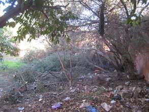 The school campus before the big clean-up