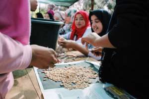 Collecting and cleaning seeds from green beans