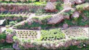 A GDF-MBLA High Atlas plant nursery, pre-quake