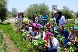 Celebrating the first harvests of the season