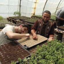 Hamid, colleagues skillfully tend Imegdal nursery