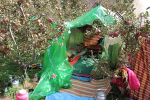 Make shift tents by community members in Ait Lkak