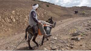High Atlas Ait Atta nomad & pack animal pre-quake
