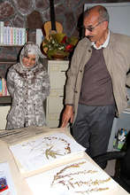 The Dar Taliba herbarium