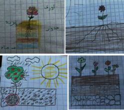 Student Drawings