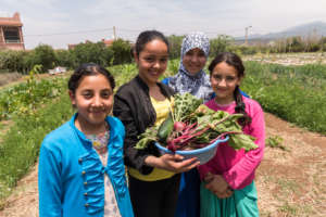 Dar Taliba residents pleased with their harvest