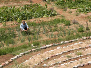 Permaculture design in action