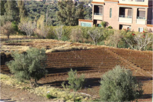 The vegetable patch at Dar Taliba awaits planting