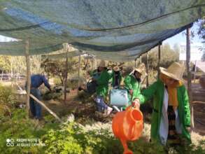 Students taking care of the plant nursery