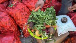 ongoing vegetable distribution efforts