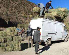 Distribution of animal feed in Imegdal