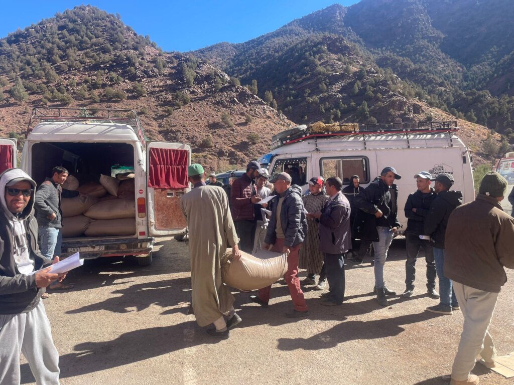 Strengthen Long Term Al-Haouz Earthquake Recovery