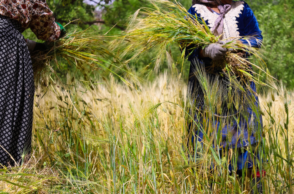 Strengthen Long Term Al-Haouz Earthquake Recovery