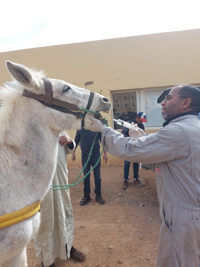 Strengthen Long Term Al-Haouz Earthquake Recovery