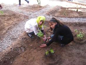 Planting their future