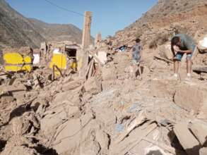 Searching for survivors in the rubble