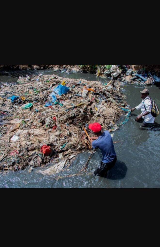 Blue Revival: Restoring Ocean Health.
