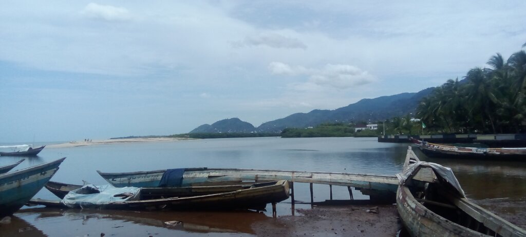 Blue Revival: Restoring Ocean Health.