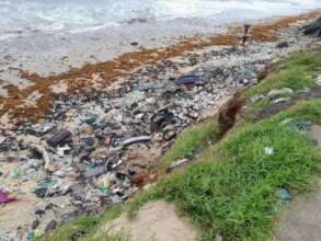 Photo of a polluted ocean