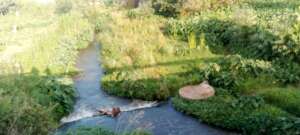 Rivers are now clean after doing our normal clean