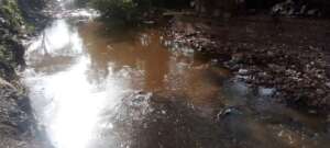 Rivers are becoming cleaner and cleaner