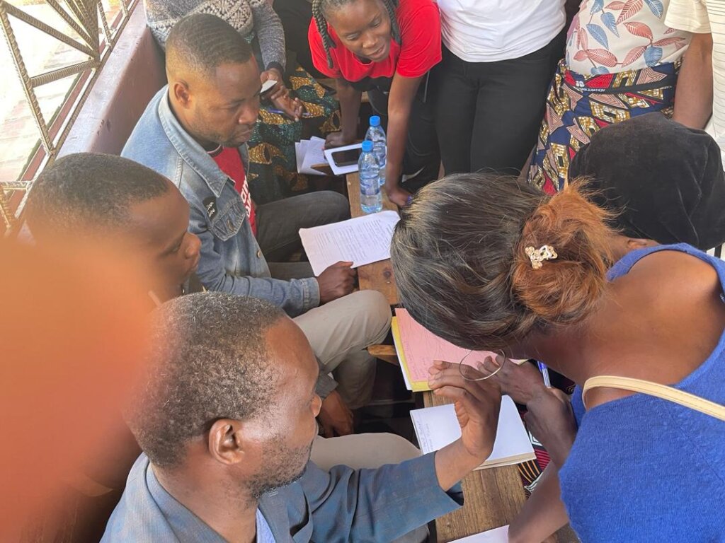 Empower Zambian Entrepreneurs