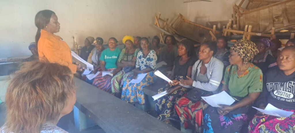 Empower Zambian Entrepreneurs