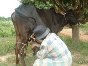 Empower 7000 Rural Dairy Farmers with Cold-Chains