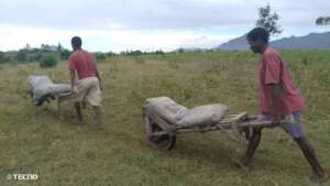 Transporting Bags of Cement