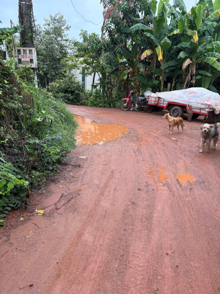 Improving school access through road improvement