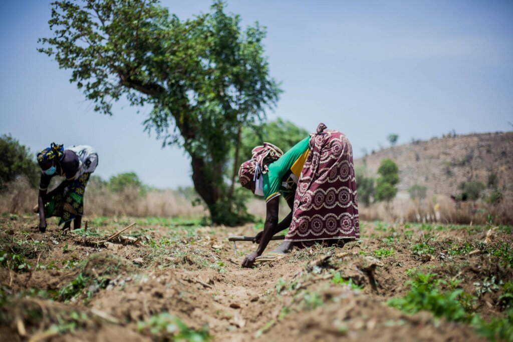 Microloans for Nigerian Women to Grow Food at Home