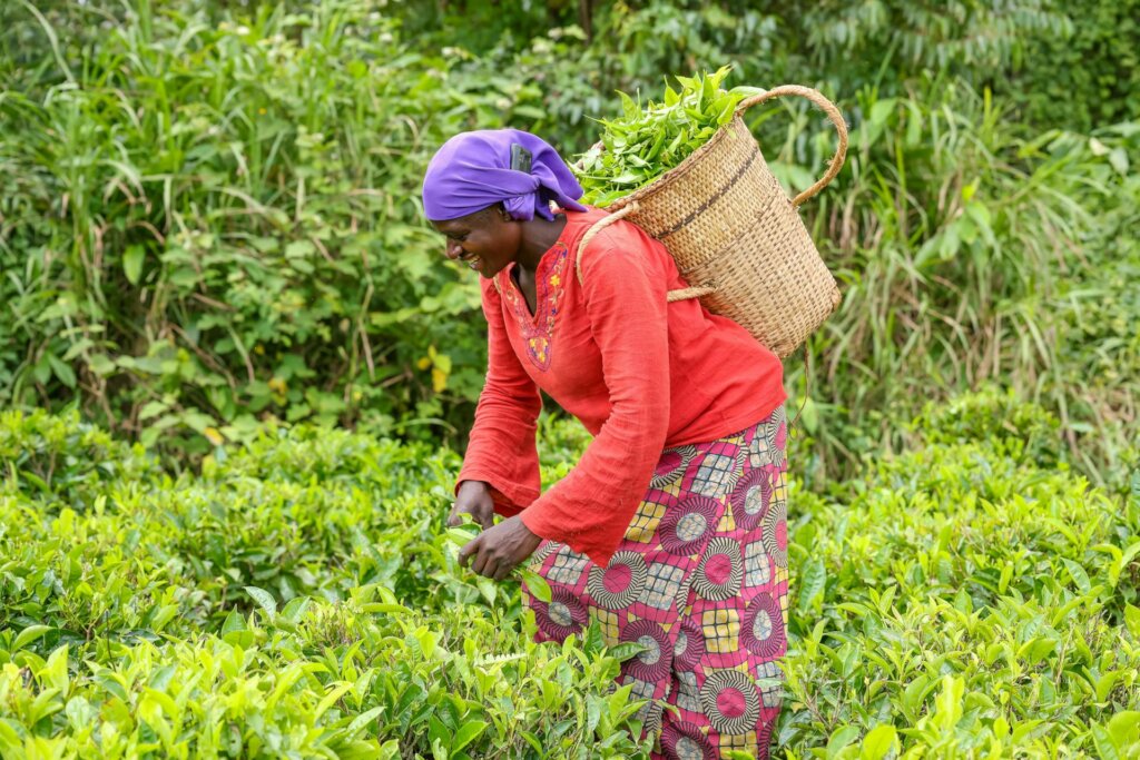 Microloans for Nigerian Women to Grow Food at Home