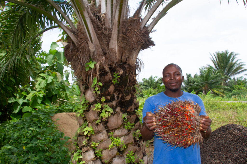 Reforest 7 Villages in Ankpa with 5000 Fruit Trees