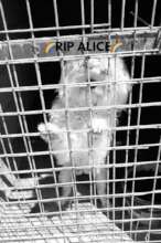 We can' save them all:(