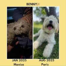 Benny
