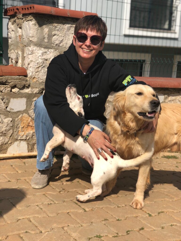 ABANDONED DOGS AND CATS NEED YOUR HELP!