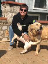 ABANDONED DOGS AND CATS NEED YOUR HELP!