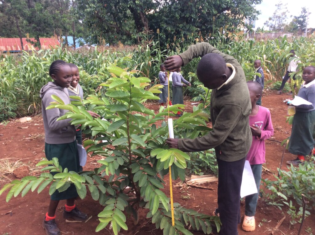 Greening Schools for Climate Action
