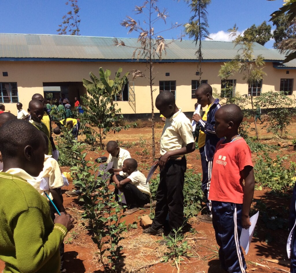 Greening Schools for Climate Action
